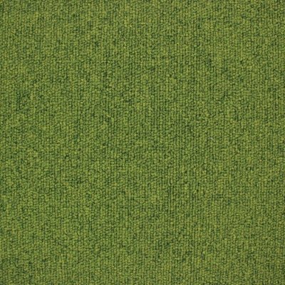 Moss 224