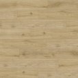 Experto LVT 55