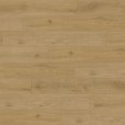 Experto LVT 55