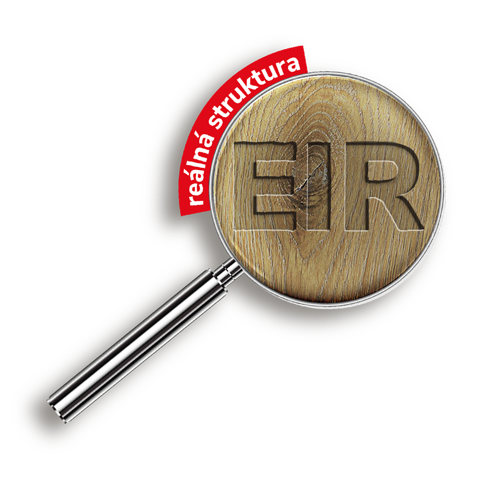 Reálná struktura EIR